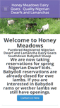 Mobile Screenshot of honeymeadowsfarm.net